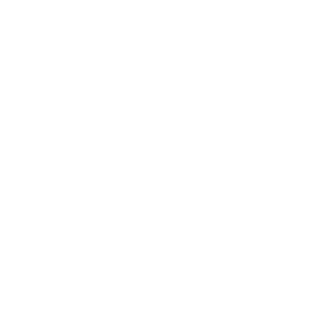 Zoala value – openness
