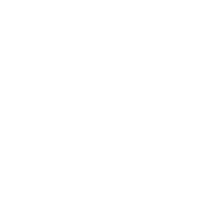 Zoala value – think like an owner